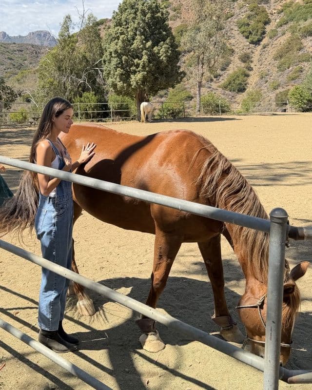 A woman at the rail with her hand on the chestnut's neck, the paddock and the hills behind them