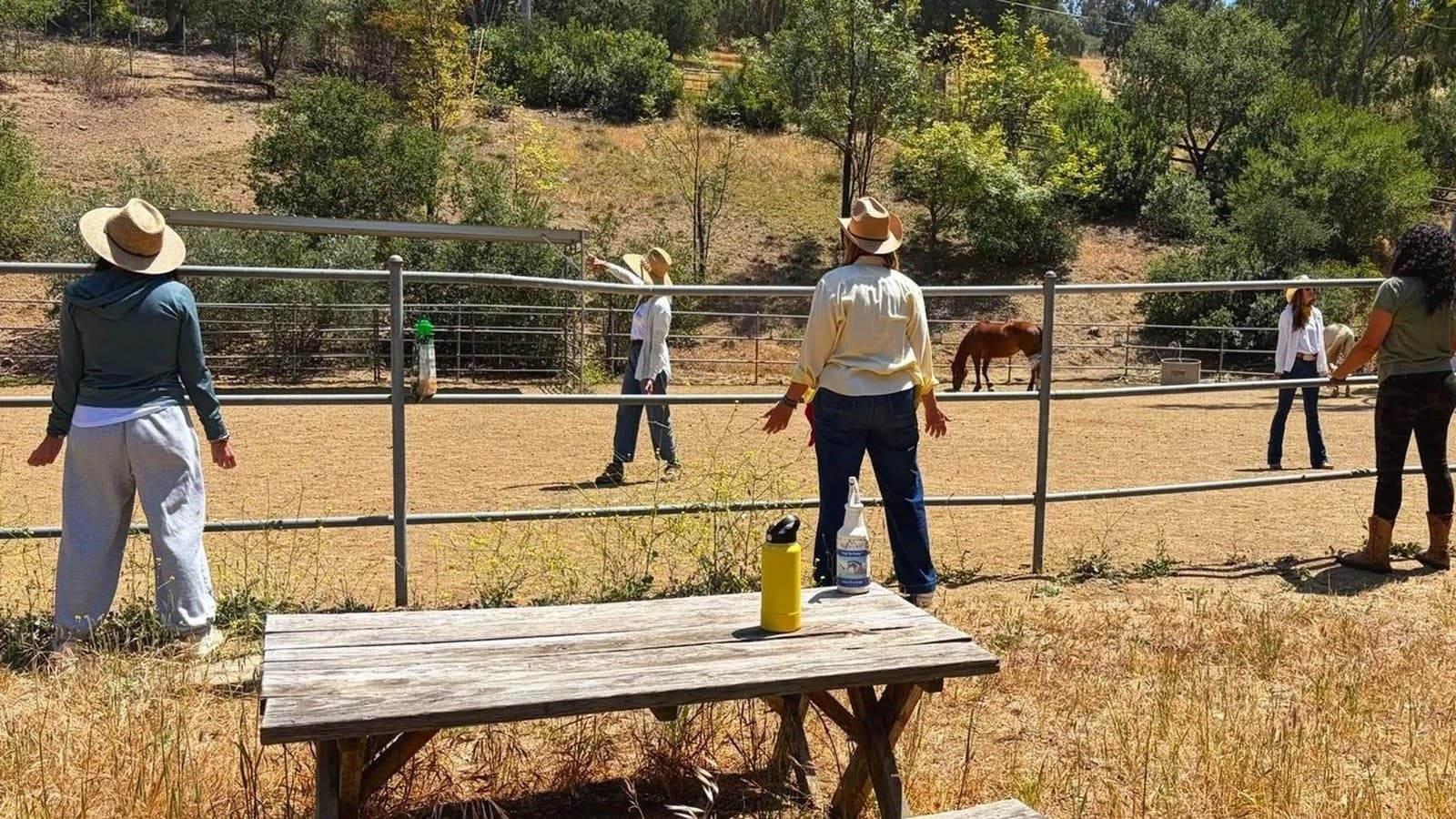 A group spread along the arena fence, arms out, a chestnut horse loose in the pen beyond