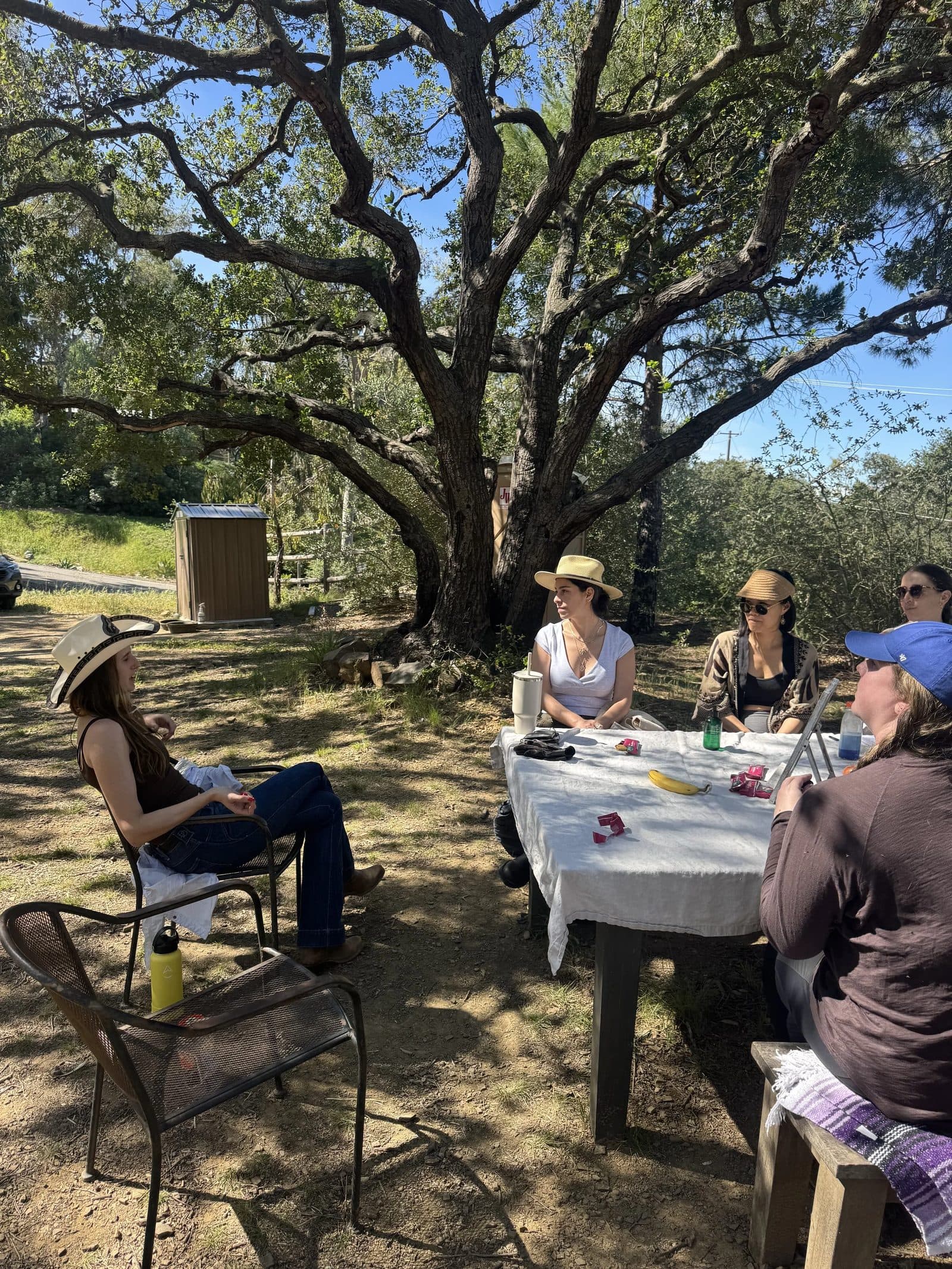 A group around a table in the shade of the oak, talking, the hillside behind them