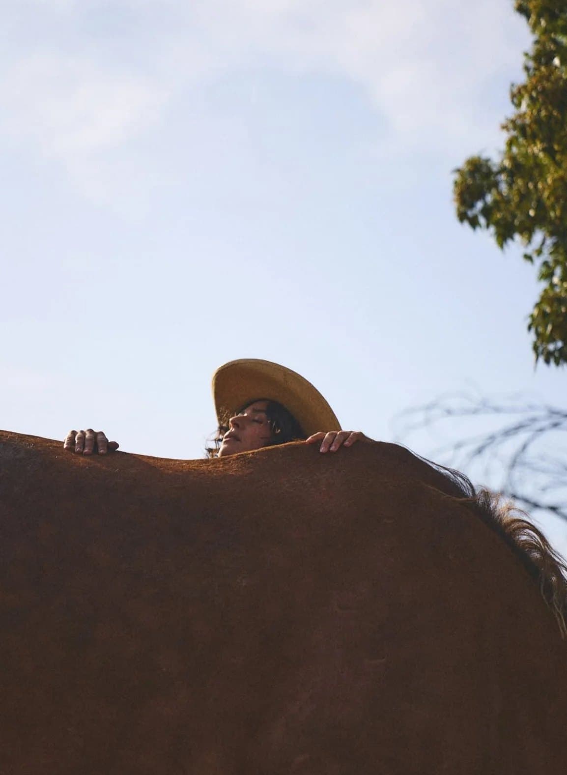 Rose Mary Riggs looking over the back of a chestnut horse, the sky behind her